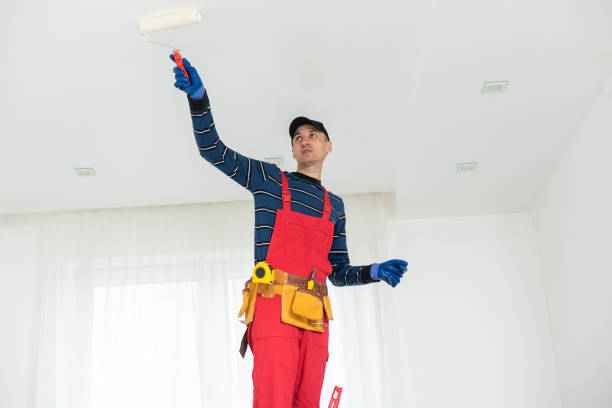 Best Mold Removal for HVAC Installations  in Hawaiian Beaches, HI