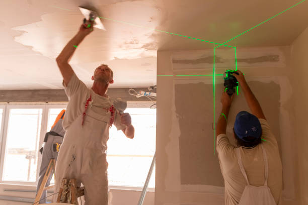 Best Mold Remediation for Healthcare Facilities  in Hawaiian Beaches, HI