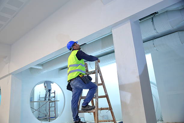 Best Industrial Mold Remediation  in Hawaiian Beaches, HI