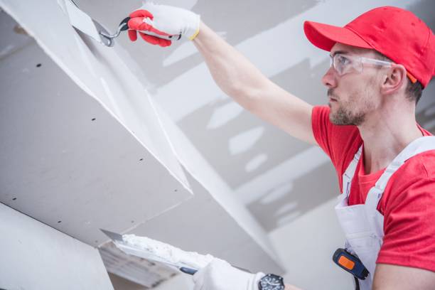 Best Dehumidification Services  in Hawaiian Beaches, HI